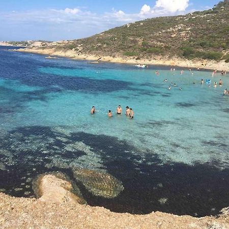 Exceptionnelle Vue Mer Calvi - Piscine - T2 외부 사진