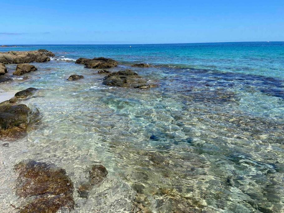 Exceptionnelle Vue Mer Calvi - Piscine - T2 외부 사진