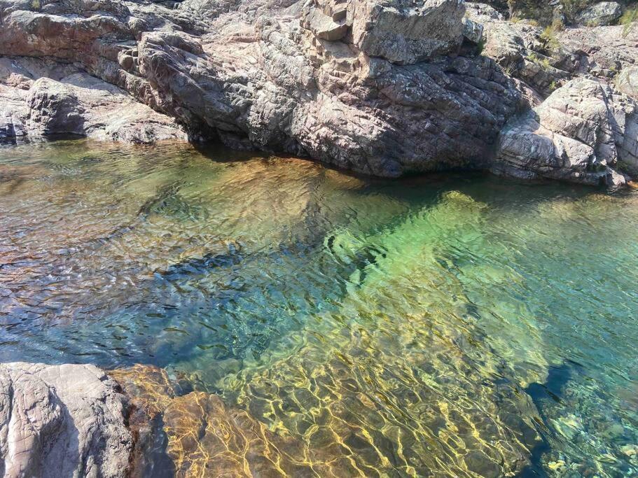 Exceptionnelle Vue Mer Calvi - Piscine - T2 외부 사진
