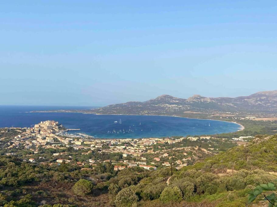 Exceptionnelle Vue Mer Calvi - Piscine - T2 외부 사진