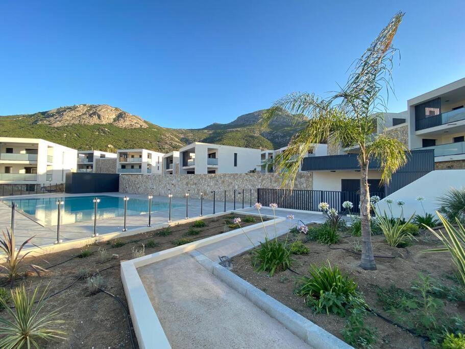 Exceptionnelle Vue Mer Calvi - Piscine - T2 외부 사진