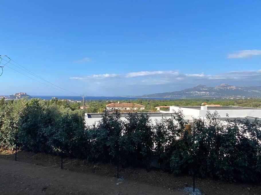 Exceptionnelle Vue Mer Calvi - Piscine - T2 외부 사진